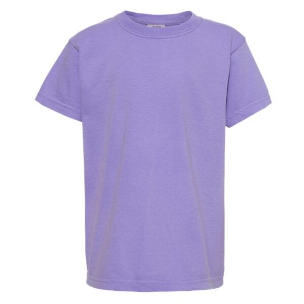 ProjectPollinator - Youth Garment-Dyed Heavyweight T-Shirt Thumbnail